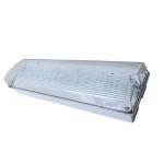Professional Custom Surface Wall Mounted Waterproof Emergency Light