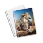 Wholesale 3D Effect 3D Lenticular Printing Notebook Hardcover Spiral Bound