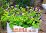 cultivating bags, 100% biodegradable various Wholesale Poly Black Square Garden