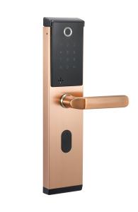 Wholesale 304SS Shell 500 DPI Fingerprint Door Lock 6V Battery Stand Alone FCC from china suppliers
