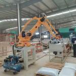 Cooperative Robot Palletising System 0-180kg Robotic Case Palletizing