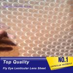PLASTIC LENTICULAR fly eye lens microlens film sheet 3d plastic lenticular lens