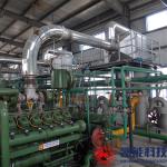 High Efficiency Generator Set Waste Heat Boiler Energy Saving Environmental