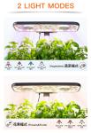 Electricity Powered Hydro Grow System , Smart Hydroponic Plant Pots For Indoor