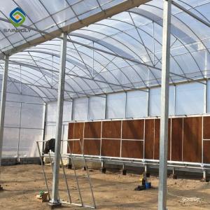 Wholesale 20ft Pe Film Multi Span Greenhouse With Mesh Netting from china suppliers