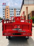 Red DAYANG 2021 Heavy Loading Truck Tricycle 150CC/175CC/200CC/250CC Motorized