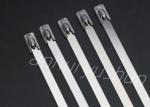 100mm SS316 Bundle Stainless Cable Tie Buckle Type