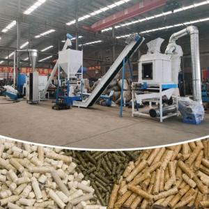 China Chicken Cattle Goat Animal Feed Pellet Production Line Ring Die Pellet Mill on sale