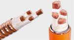 0.6/1 (1.2) Kv Low Voltage Al (Cu) /XLPE/PVC 3*240mm2+120mm2 3*300mm2+150mm2 3
