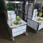 Multifunctional Banana Peeler Machine Fruit Peeler Made In China