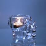 Luxury Decorative Simple Custom Brand Transparent Candle Holder Bone Shape