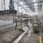 500 Bph Chicken Slaughtering Machine Complete Poultry Slaughter Equipment For