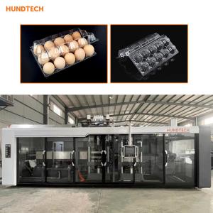 Wholesale Clear Plastic PS Egg Tray Forming Machine 12X2.7X2.4m Eco Friendly from china suppliers