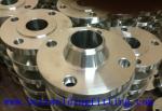 Forged Stainless / Carbon Steel Pipe Flanges , A182 / F51 Forgings Flanges And