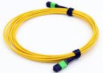 24 Cores Single Mode Fiber Patch Cord 55dB Return Loss Customized Length
