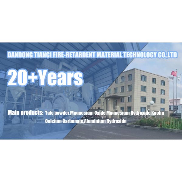 Refractory Matter Environmentally-Friendly Magnesium Hydroxide Mg(oh)2 Reach Certificate for Synthetic Rubber