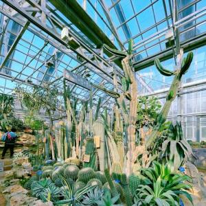 Wholesale JX-A00133 Blossom Haven with Glass Greenhouse Shipping Cost and Estimated Delivery Time from china suppliers