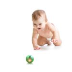 Manufacturers Wholesale All Kinds Of Color Pet Training Toy Puppy Tennis Cat Toy