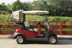 Innovative 2 Seaters Electric Golf Cart with Lithium Battery