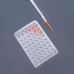 Cell Culture Plates With Treated Culture Surface And Plates 6 12 24 48 And 96