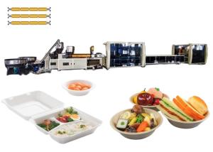 Wholesale Three Screw Blister Equipment Disposable Plastic Container Making Machine from china suppliers