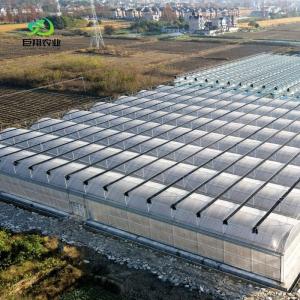Wholesale Continuous Heating Aquaculture Greenhouse for Tomato Hydroponic Growing Solution from china suppliers