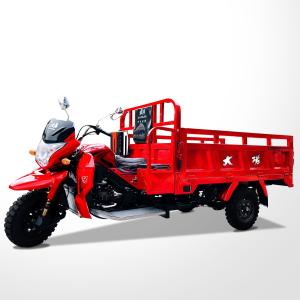Wholesale DAYANG 2021 Model Motorized Tricycle 250 CC Gasoline Cargo Tricycle RUITENG Red 28 A from china suppliers