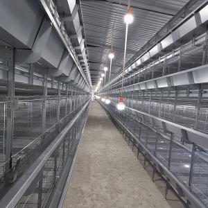 Wholesale Enriched 3-8 Tiers Baby Chick Cage For Day Old Layer Chicks from china suppliers