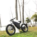 72V 3000W E Fat Bike TFT 750C Color Display With Aluminum Frame