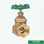 Customized OEM&ODM 2 Inch CW617N Brass Color Water Brass Cast Stem Gate Valve