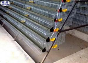 Wholesale Automatic Quail Egg Laying Cages Battery Operated Design Customized Size from china suppliers