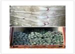 Garden Fly Screen Mesh Hdpe Plastic 20/30/40/50 Mesh Anti Insect Net