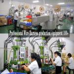 Oceania Market Customized Electrical Wiring Harness Connector Cable for
