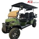 Lithium Battery Motorized Sightseeing Vehicle Emergency Braking For Comfortable