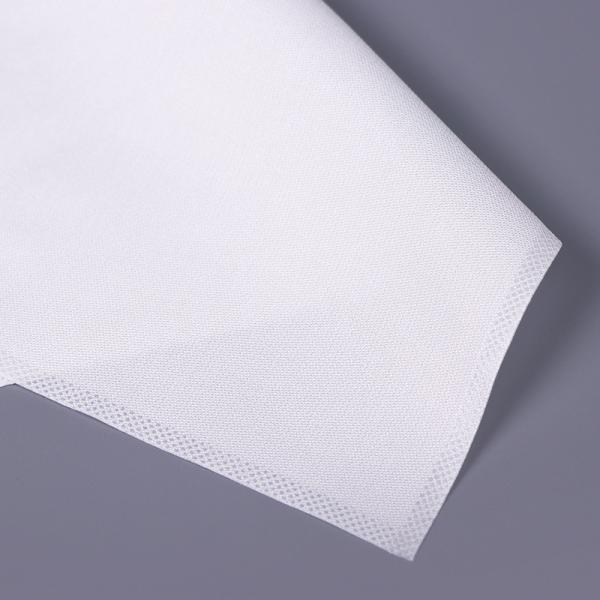 100pcs 22x22cm Sterile Cleanroom Wipes Aseptic Processing Lint Free Industrial
