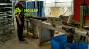 Wholesale Plant Transport Dutch Flower Trolley from china suppliers