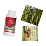 Biological Vegetable Insecticides Insect Killer Virus AcNPV & Bt SC