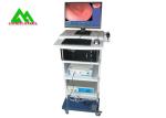 Endoscopic Sinus Surgery Endoscope / Waterproof Camera Video Endoscopy