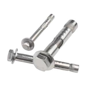 Wholesale 1/2 Inch Diameter Brown Stainless Steel SS304 SS316 Wedge Anchor Bolt with 700 Capacity Directly Distributed from china suppliers