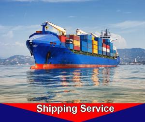 Wholesale LCL Ocean Freight Transportation Agent Qingdao To Hamburg Amsterdam from china suppliers