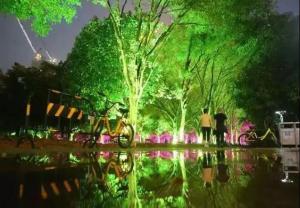 China DMX512 RGBW 36W Tree LED Flood Light LED Garden Lamp For Landscape Projection on sale