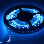 Muti Color DC 12 / 24V 5050 SMD RGB Flexible LED Strip Lights