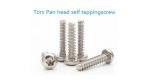 Galvanized 304 Stainless Steel Pan Head Self Tapping Screws Plain Finish Din