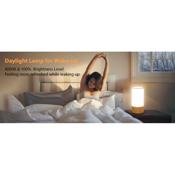 10000 Lux Light Therapy Lamp with Adjustable Color Temperature and Memory Function for Office and Home