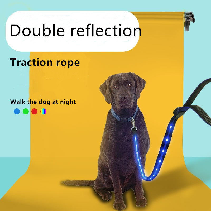 light up dog lead