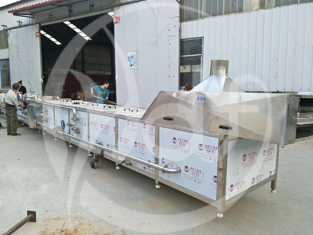 Fruit and vegetable washing and drying machine with high quality