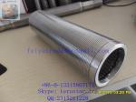 changeable filter element