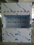 School PP Fume Hood Laboratory Equipment, Lab Fume Cupboard With Faucet / Sink