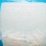 Adults' Best Bargain Adjustable Disposable Adult Diaper Panty Diaper at Best