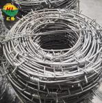 Single Strand Galvanized Barbed Wire 6mm*1.6mm Or 2mm*2mm
